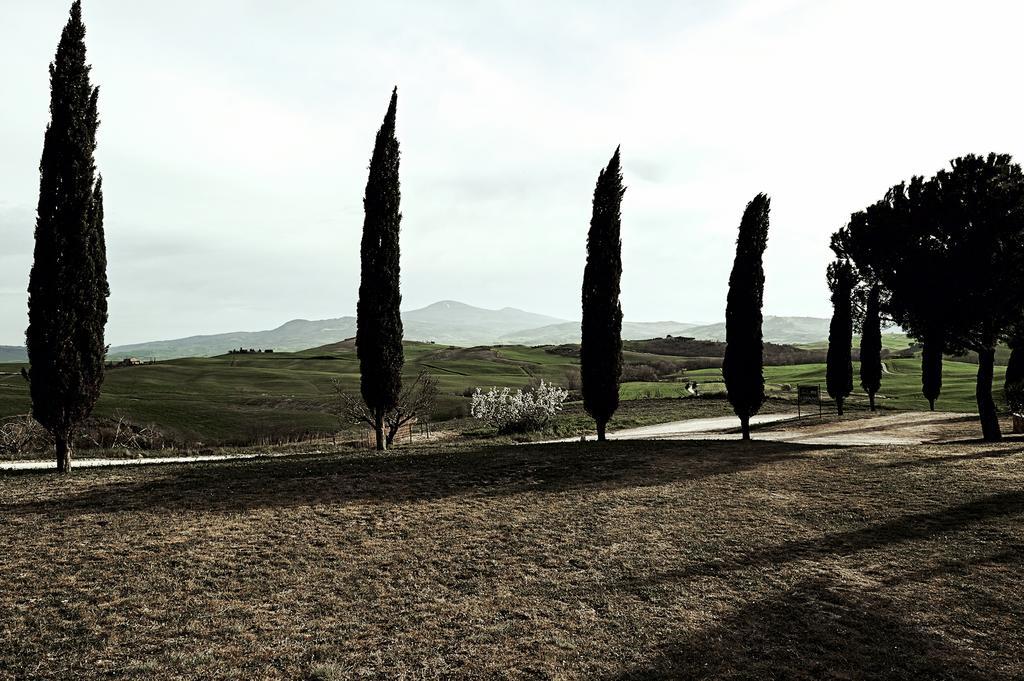 Agriturismo Il Casalino Pienza Exterior photo