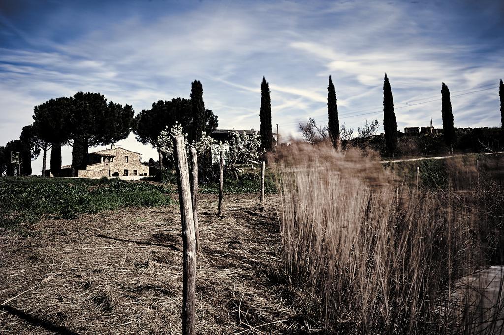 Agriturismo Il Casalino Pienza Exterior photo