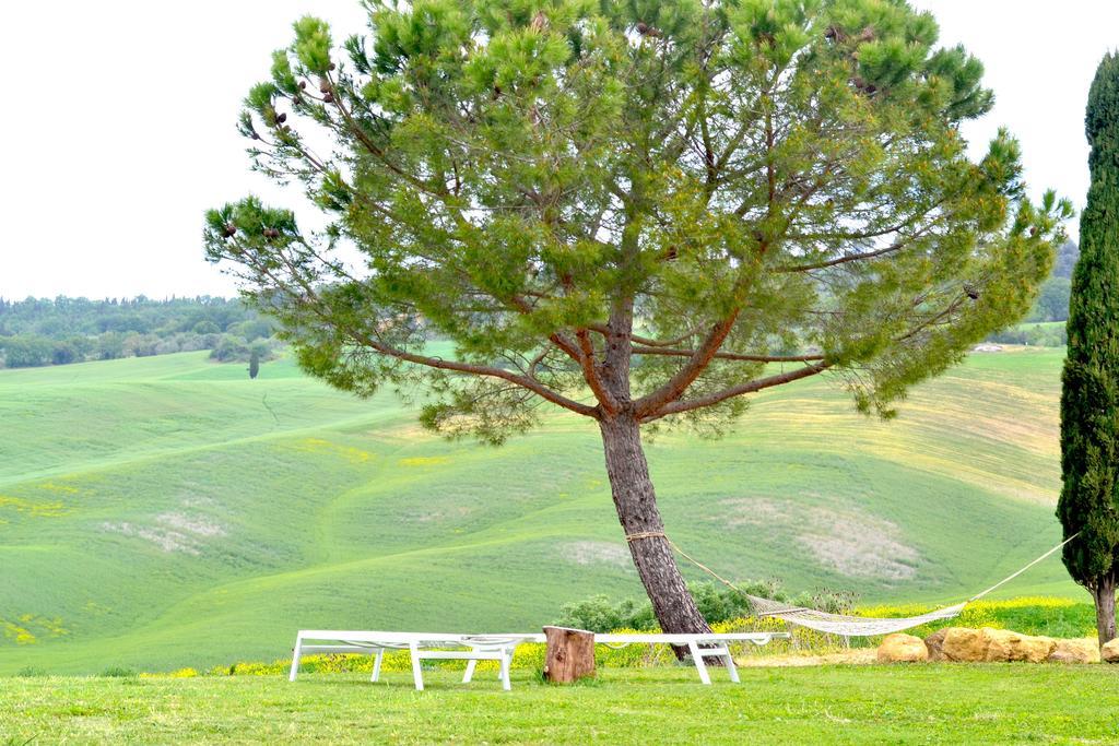 Agriturismo Il Casalino Pienza Exterior photo